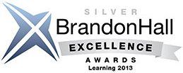 TTN awarded silver Brandon Hall Learning Excellence Award