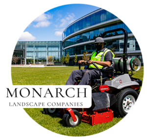 Man on a lawnmower